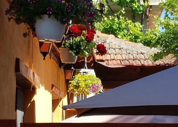 Sea Side ホームステイ コンスタンツァ