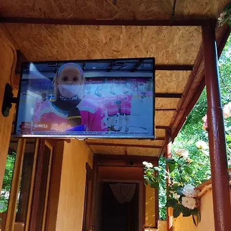 Проживання в сім'ї Sea Side