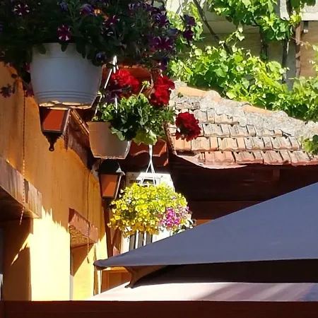 Sea Side Проживання в сім'ї Констанца